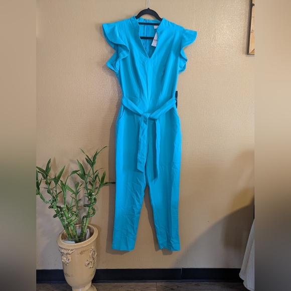 Ruffled Sleeves Jumpsuit, Size Small - Picture 2 of 11
